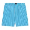 FW21 Gestreifte Shorts „Blue“ 6583964A8B74900
