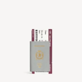 Lange Herren-Brieftasche im Passformat mit 1 Ticket in Balenciaga-Grau