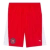 Sporty B Fußballshorts „Rot“ 641609TJV056540
